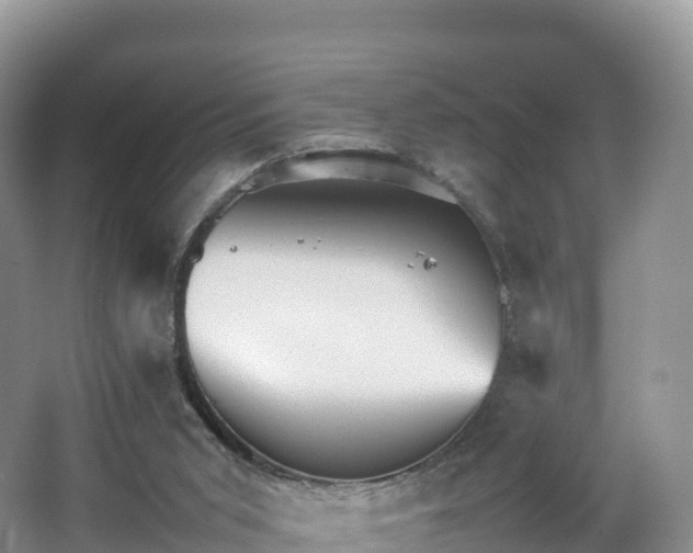 X0000066540015200603241423