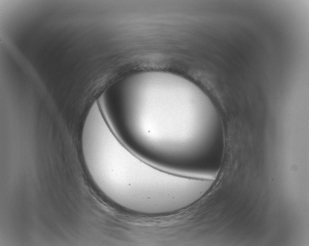 X0000066540017200603241423