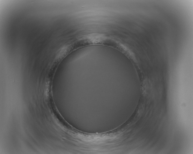 X0000066540018200603241423