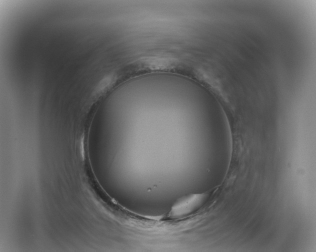 X0000066540019200603241423