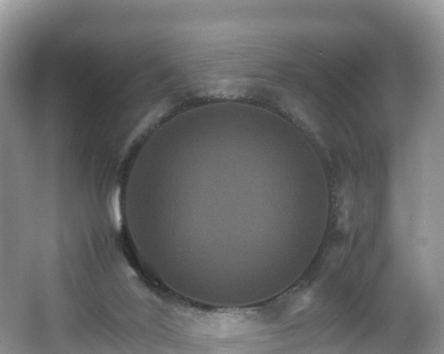 X0000066540020200603241423