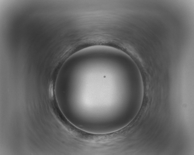 X0000066540021200603241423