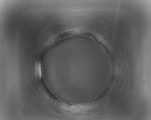 X0000066540022200603241423