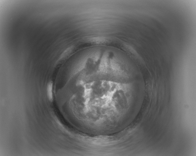 X0000066540024200603241423