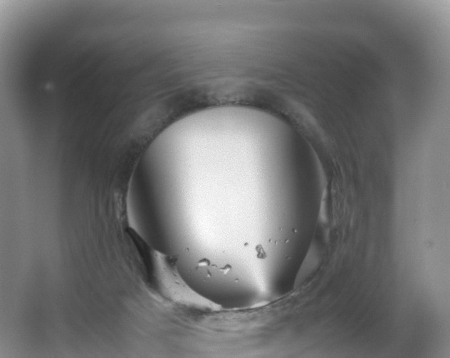 X0000066540025200603241423