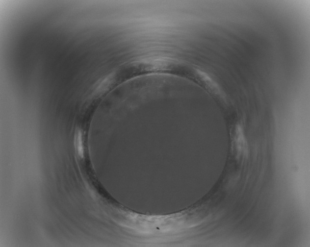 X0000066540026200603241423