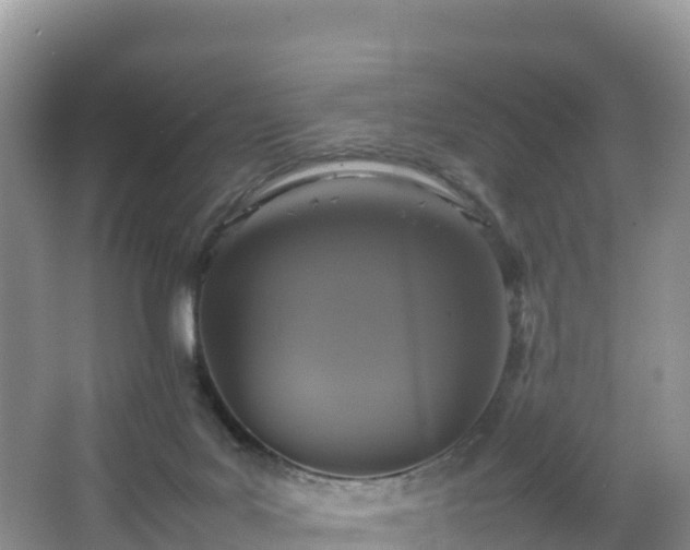 X0000066540027200603241423