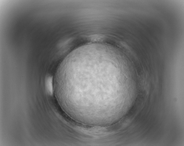 X0000066540028200603241423