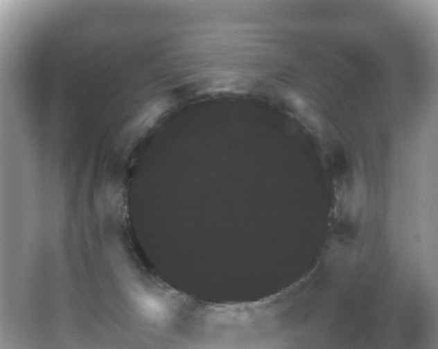 X0000066540029200603241423