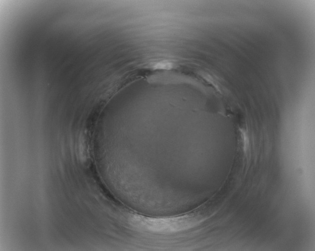 X0000066540030200603241423