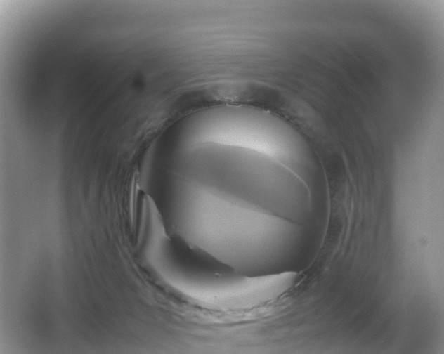 X0000066540031200603241423