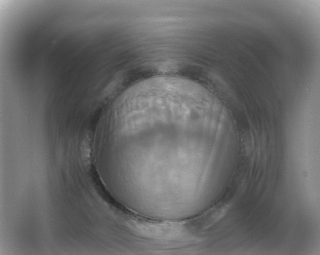 X0000066540032200603241423