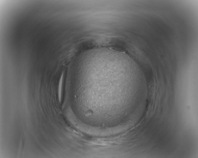 X0000066540033200603241423