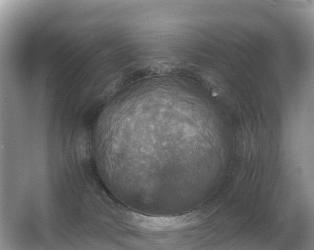 X0000066540034200603241423