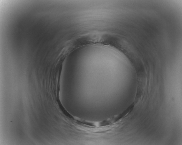 X0000066540035200603241423