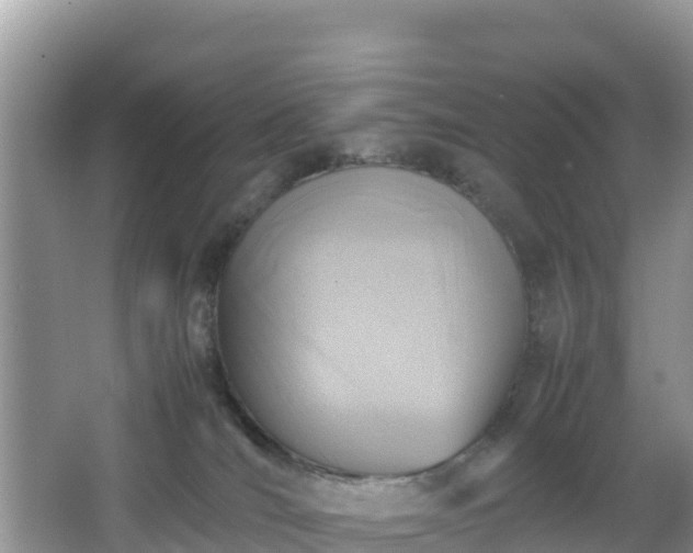 X0000066540036200603241423