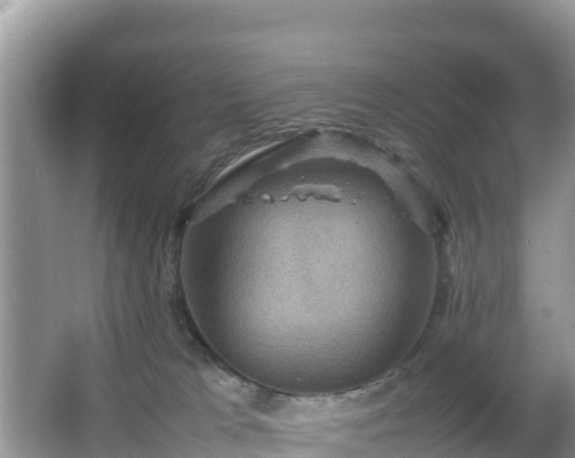 X0000066540037200603241423