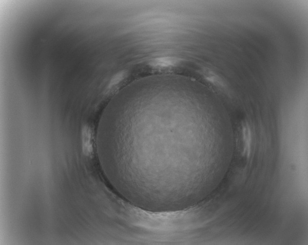 X0000066540038200603241423