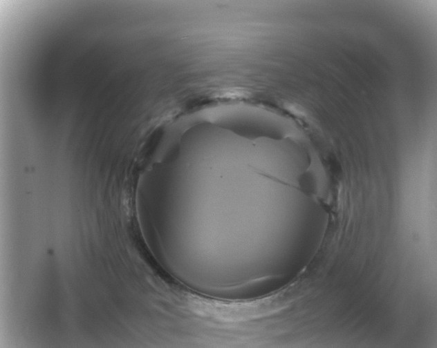 X0000066540039200603241423