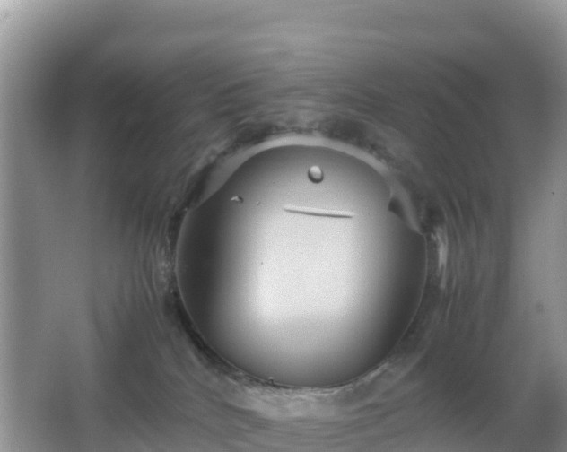 X0000066540040200603241423