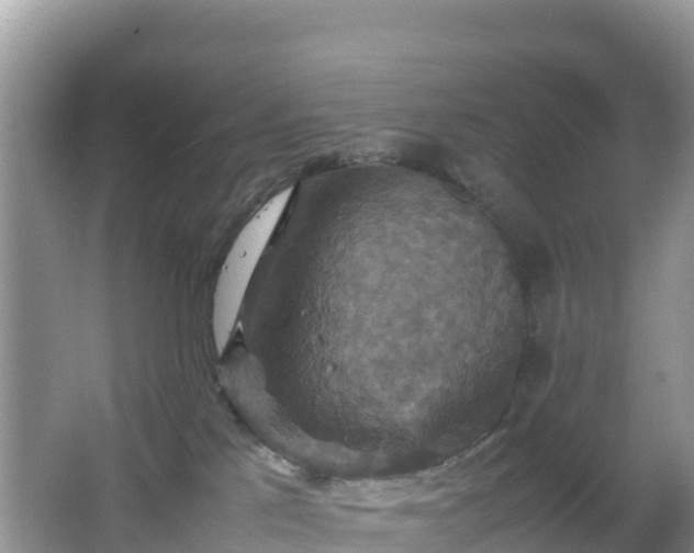 X0000066540041200603241423