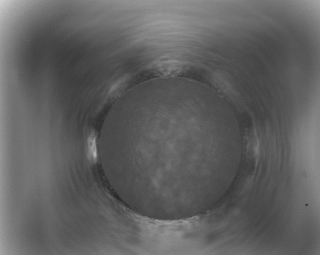 X0000066540042200603241423