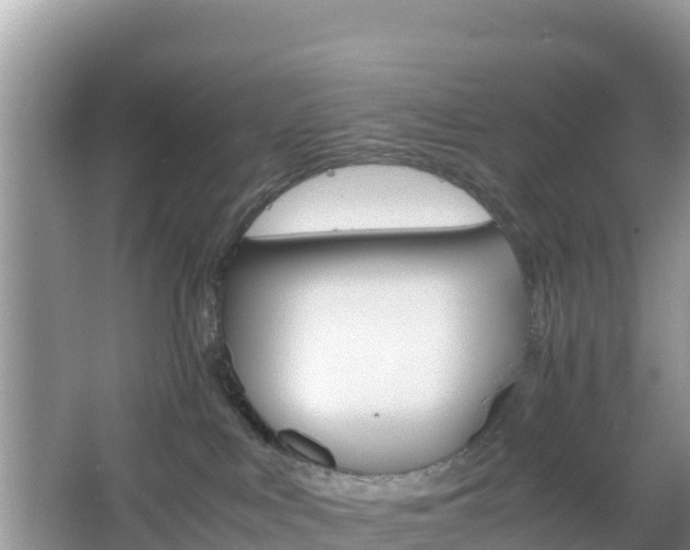 X0000066540043200603241423