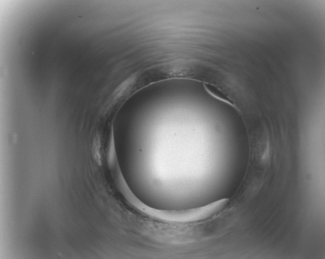 X0000066540044200603241422