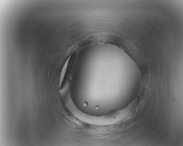 X0000066540045200603241422