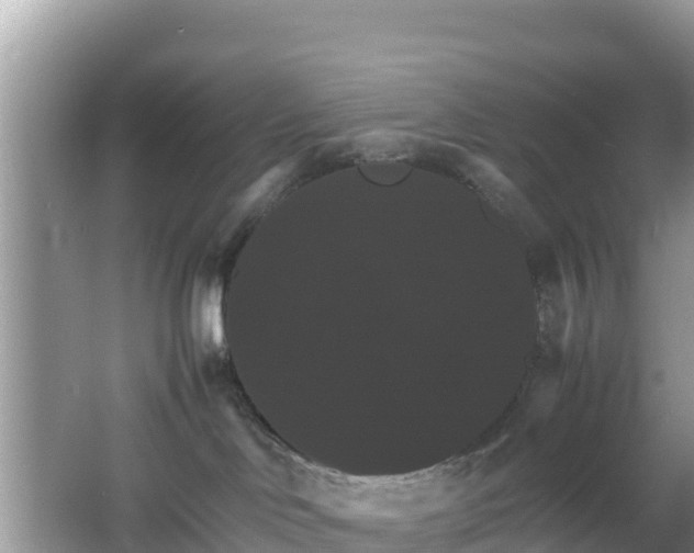 X0000066540046200603241422