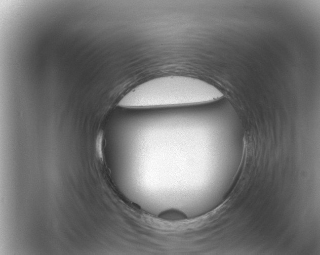 X0000066540047200603241422