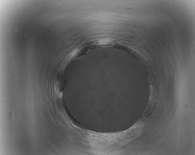 X0000066540048200603241422