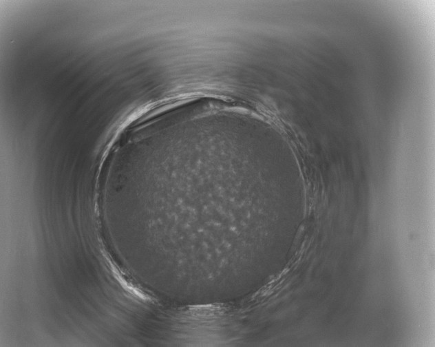 X0000066540050200603241422