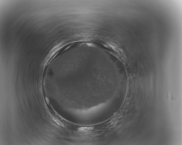 X0000066540051200603241422