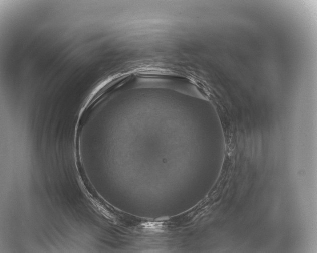 X0000066540052200603241422