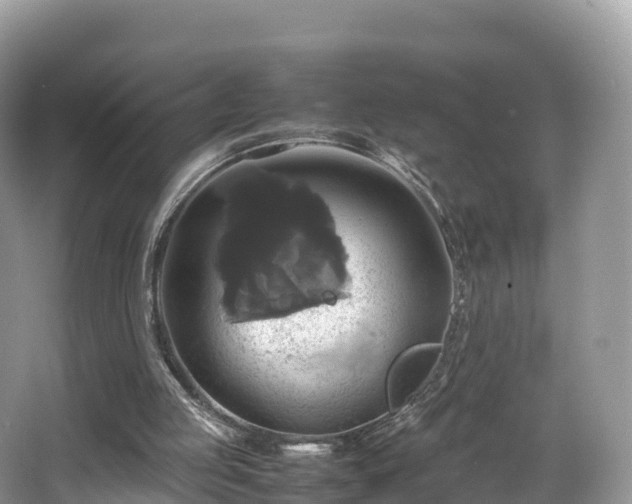 X0000066540053200603241422