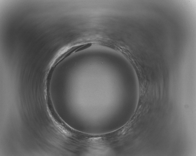 X0000066540054200603241422