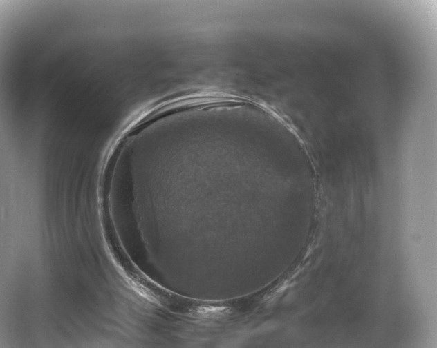 X0000066540055200603241422