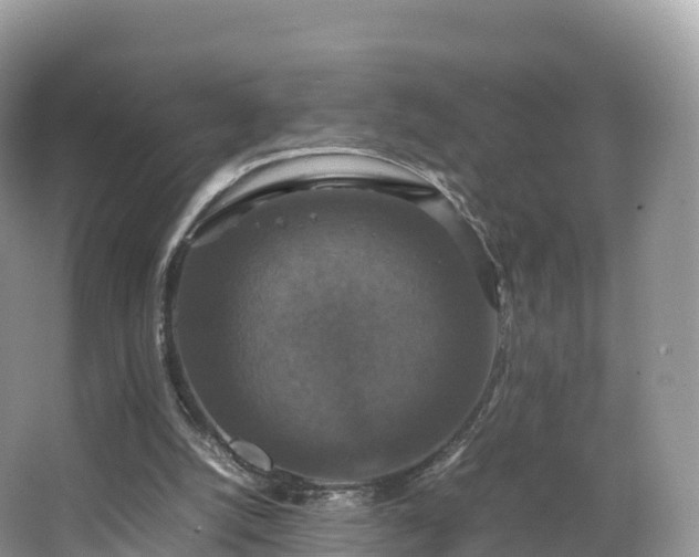 X0000066540056200603241422