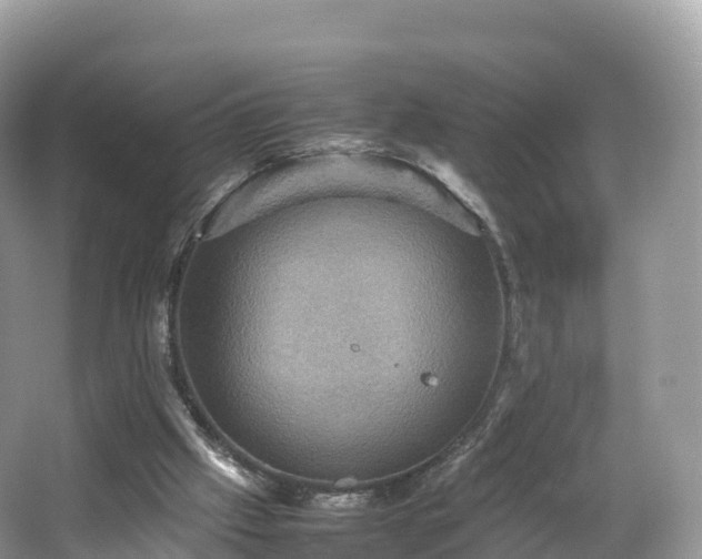 X0000066540057200603241422