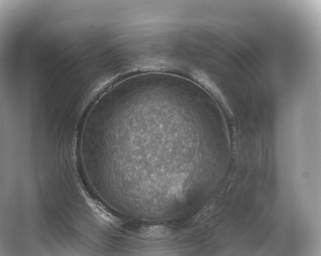 X0000066540058200603241422