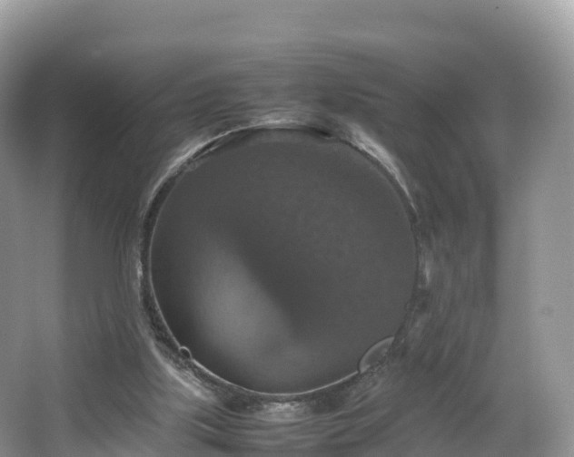 X0000066540059200603241422