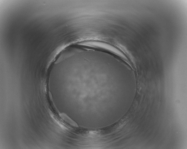 X0000066540060200603241422