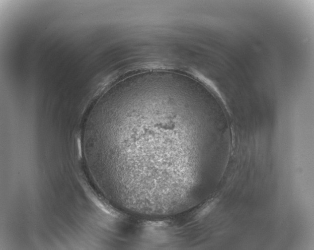 X0000066540061200603241422