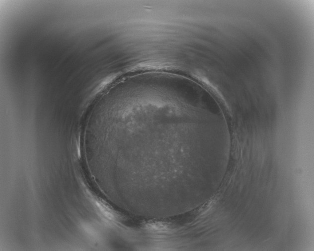 X0000066540062200603241422