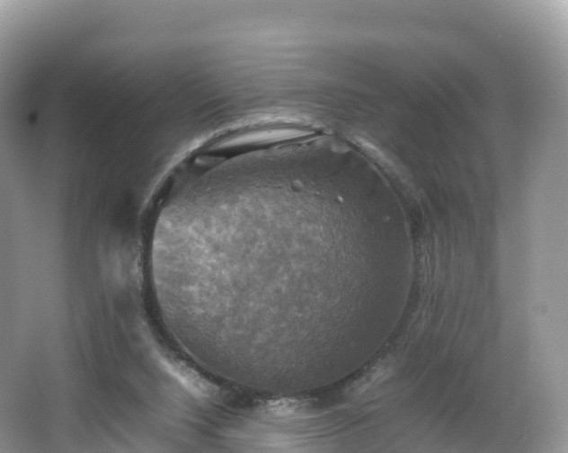 X0000066540064200603241422