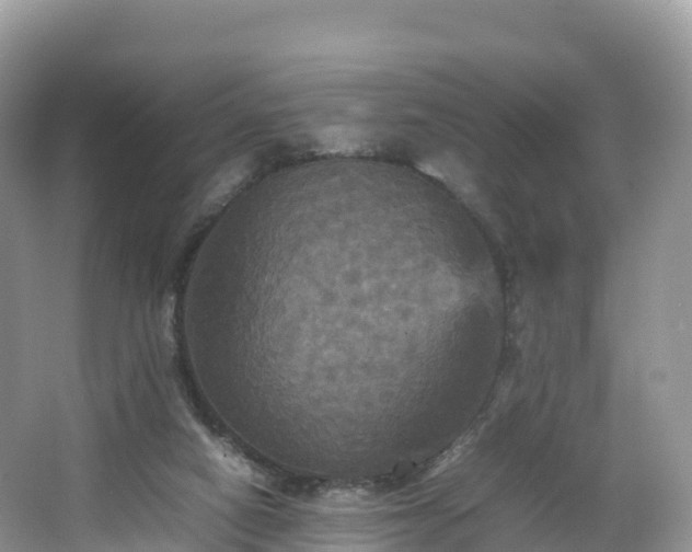 X0000066540066200603241422