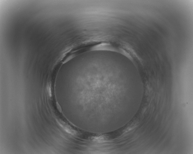 X0000066540068200603241422