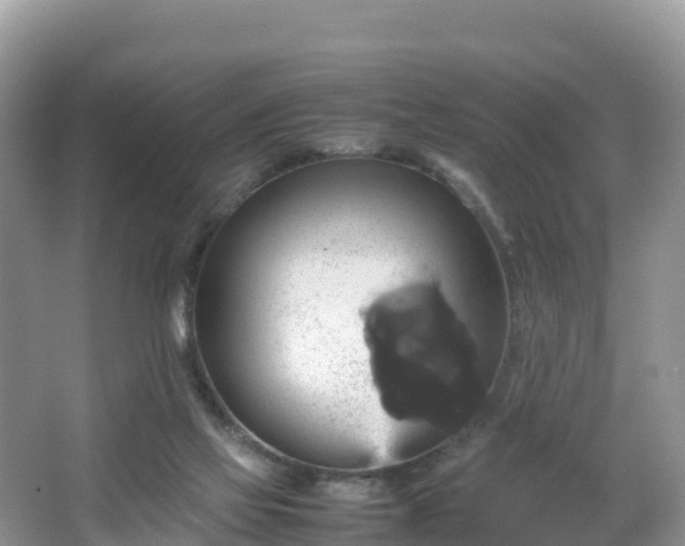 X0000066540069200603241422