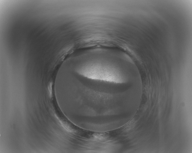 X0000066540070200603241422